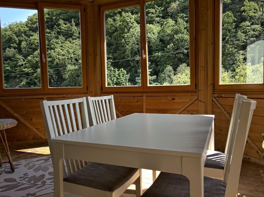 Idyllische Ferienwohnung In Zentrumsnaehe 드레스덴 외부 사진
