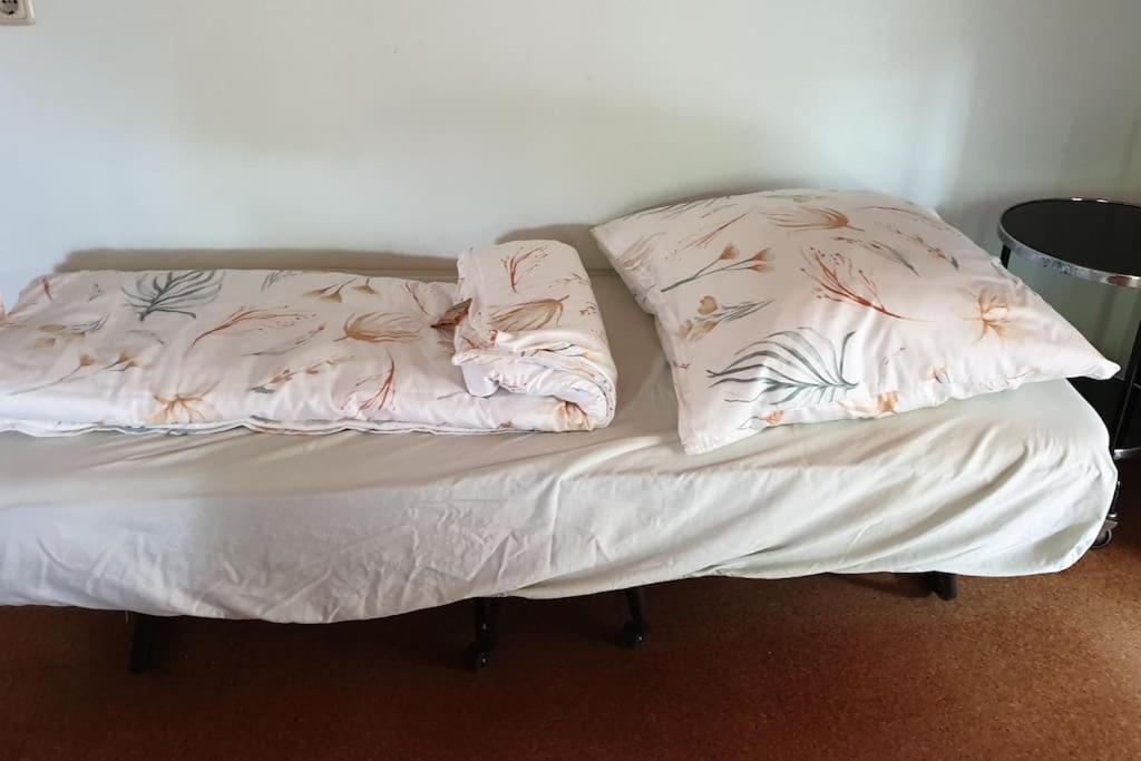 Idyllische Ferienwohnung In Zentrumsnaehe 드레스덴 외부 사진