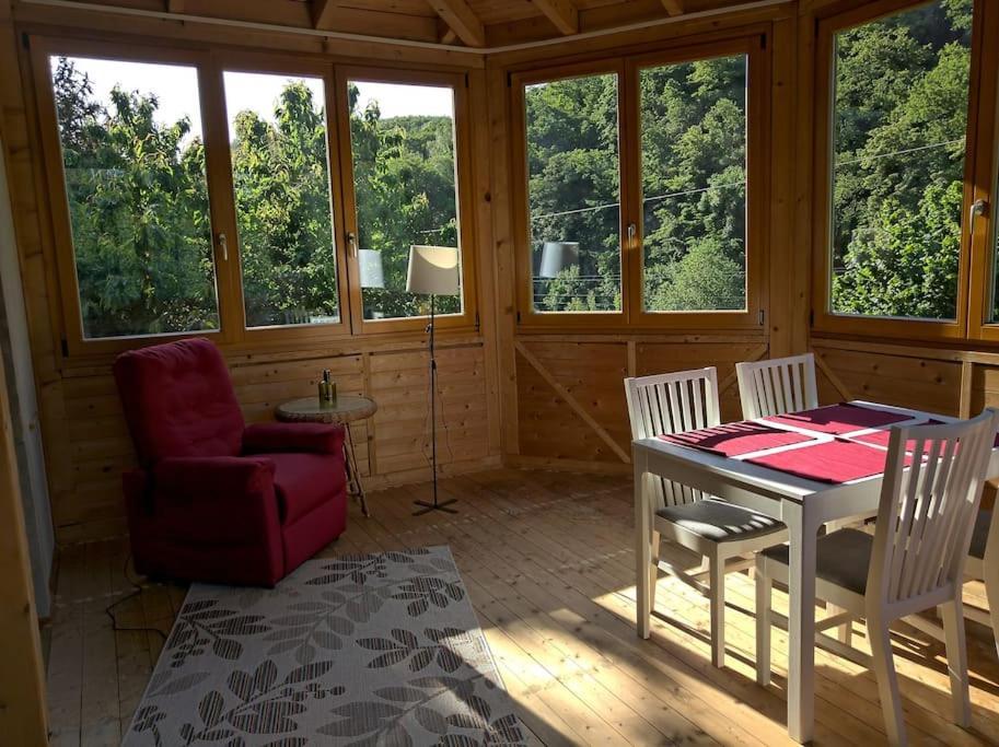 Idyllische Ferienwohnung In Zentrumsnaehe 드레스덴 외부 사진