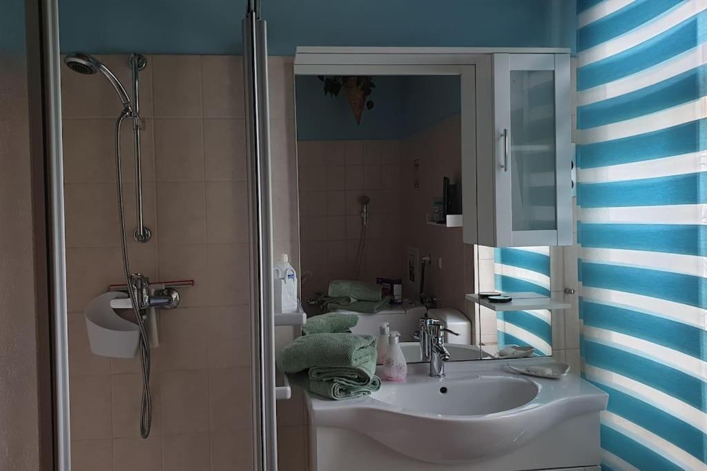 Idyllische Ferienwohnung In Zentrumsnaehe 드레스덴 외부 사진