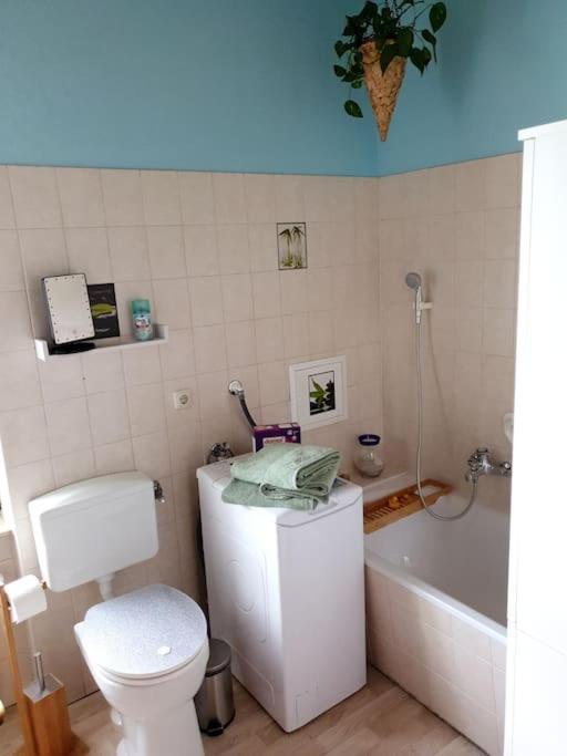 Idyllische Ferienwohnung In Zentrumsnaehe 드레스덴 외부 사진