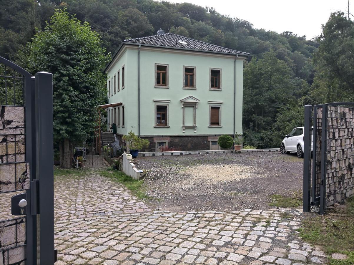 Idyllische Ferienwohnung In Zentrumsnaehe 드레스덴 외부 사진